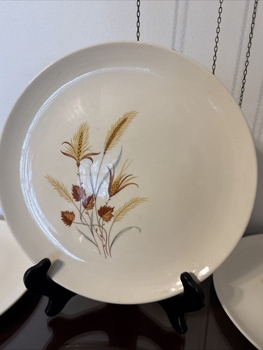 Juego de 6 platos de cena Mcm vintage Taylor Smith cosecha de otoño 10” años 60 usado en excelente estado - Imagen 4 de 17