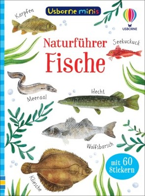 Usborne Minis Naturführer: Fische | Nolan, Kate | Kartoniert | 9781789417562