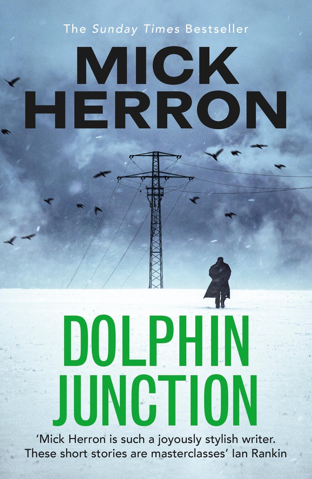 Thumbnail - Mick Herron / Dolphin Junction / 9781529371284
