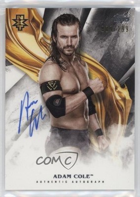2019 Topps WWE Undisputed 89/199 Adam Cole #A-AC Auto 3hd