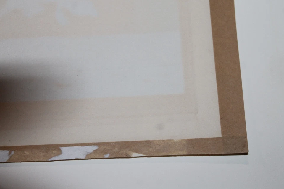 RW-4 1937 Federal Duck Stamp Print &  Stamp - Image 3 of 4