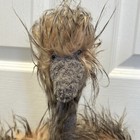 Picture 2 of 9