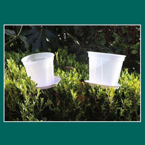 Macetas de plástico transparente para orquídeas con flores plantas para crecimiento control de raíces suministros para guardería jardín - Imagen 5 de 17