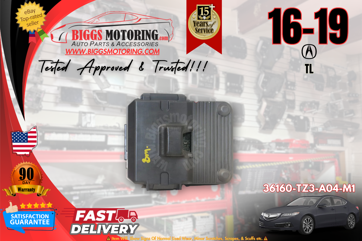 アパシー　エンパシー Empathy - YouTube