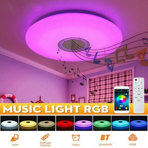 ceiling light with speaker