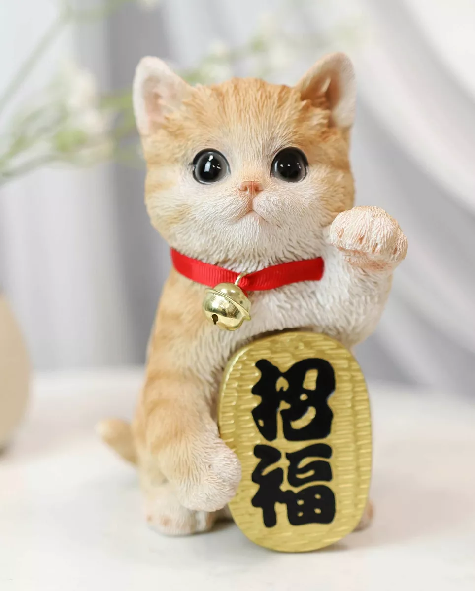 Maneki neko real cat online