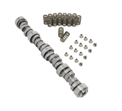 Summit Racing 8706-1 Level 1 SUM-8706 Pro LS Stage 2 Turbo Cam and Beehive