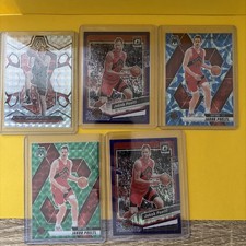 Toronto Raptors - Jakob Poeltl card lot