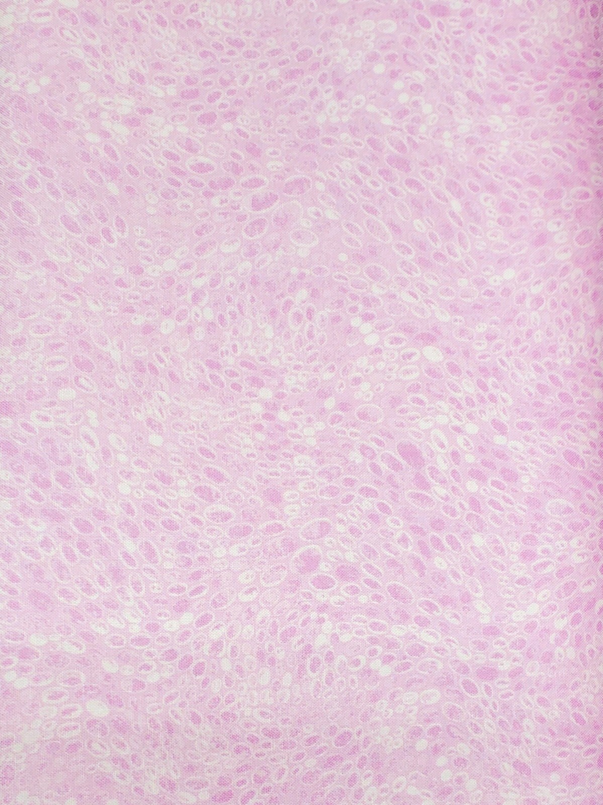 Picture 63 of 95