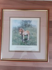 David Shepherd Limited Edition Print - When I Grow Up I Want To Be A Cart Horse