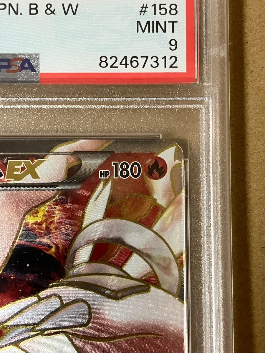 慈悲深きセラ/SerratheBenevolent JP FOIL PSA10 【公式通販】