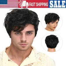 Mens Wig Male Short Straight Hair Fluffy Man-made Fiber Hair Hairpiece Wig Black
