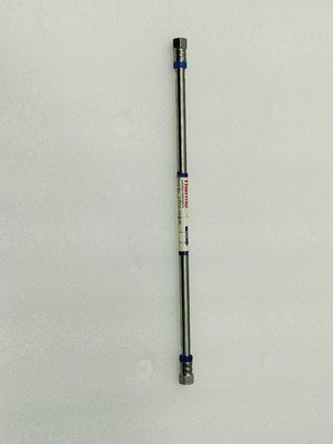 Thermo Scientific BioBasic 73105-254630 AX Säule - 250 mm x 4,6 mm