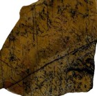 UTAH YELLOW FEATHER SLAB ~ 39  grams / rough agate jasper mineral rock — photo 1