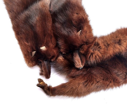 VINTAGE 40's/50's GENUINE MINK 4 PELT 50" STOLE SCARF WRAP - Picture 6 of 9