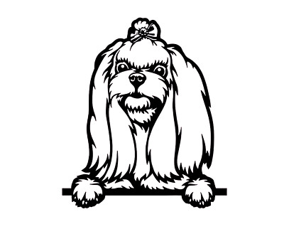 Shih Tzu with Bow Two Pack 5'' Black Vinyl Graphic Decal Car Truck Windows Laptop
