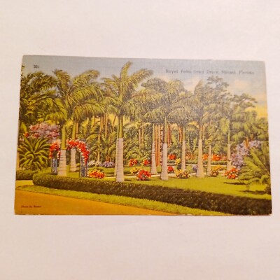 Postcard: Royal Palm Tree Lined Drive-Miami Florida-1940-Linen Crafts Journal 