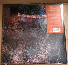 The Accidental Falls by Eyelids (Vinyl 2020) ...