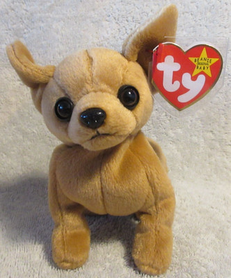 Ty Beanie Baby Tiny the Chihuahua DOB September 8, 1998 MWMT Free  Shipping