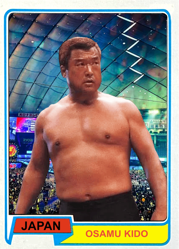 2025 LJACards "Japan Tour 1980" Puroresu Wrestling Trading Cards ACEO - Bild 30 von 44
