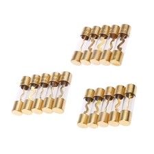 5Pcs Gold Plated Glass AGU Fuse Fuses Pack Car o Amp Amplifier