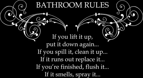 Bathroom Rules Quote, Vinyl Wall Art Sticker Decal Mural, Home, Wall, Decor - Picture 4 of 19
