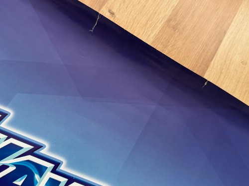 Wave Race: Blue Storm RAR Gamecube 59 cm x 84 cm Werbeposter - Bild 2 von 2