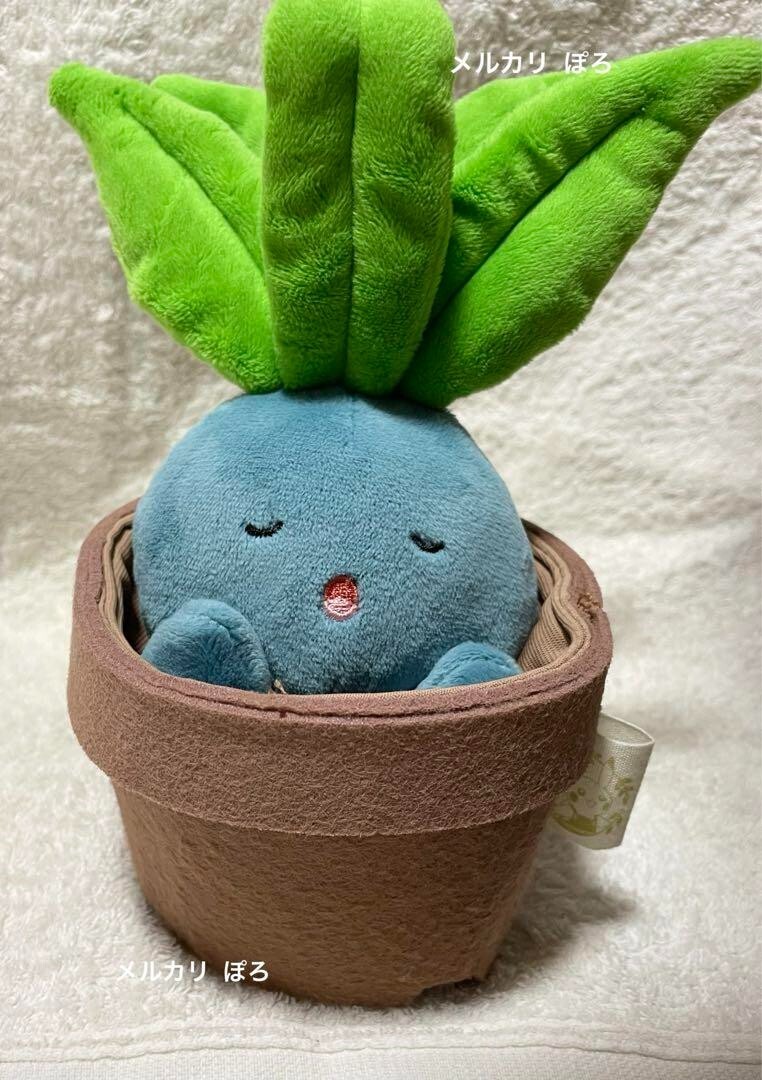 ハネッコ Grassy Gardening ぬいぐるみ マスコット Pokémon Grassy Gardening ハネッコ - メルカリ
