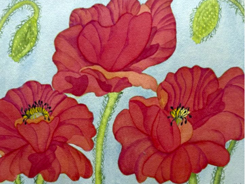 PAINTING WATERCOLOR 11X14 AND  DOUBLE MAT 16X20 FLOWER POPPY RED ORANGE ORIGINAL