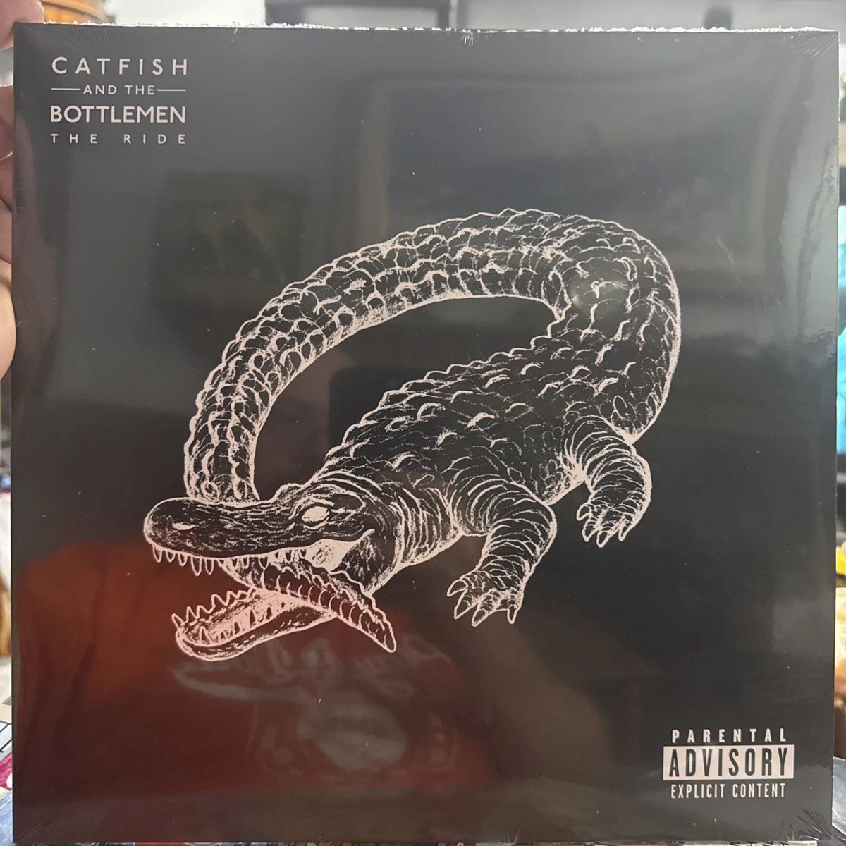 Catfish and the Bottlemen Vinyl Records for sale | eBay