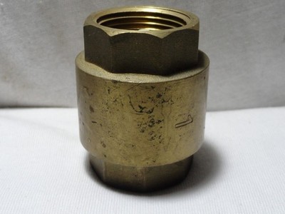 EZ FLO HEAVY DUTY BRASS IN LINE CHECK VALVE 1'' STAINLESS STEEL SPRING FAST SHIP