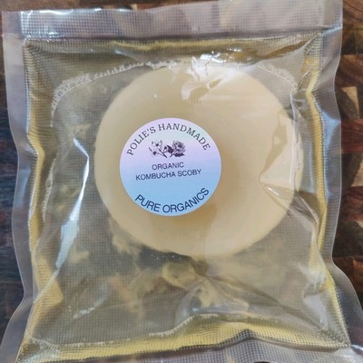 Organic SCOBY Kombucha Starter with Live Culture For Brewing Kombucha Tea