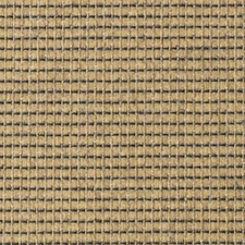 Sunbrella Canyon Bamboo 42006-0000 Outdoor Furn. Fabric by Yard 54"W