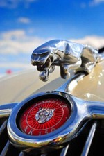 Jaguar Car Leaping Cat Leaper Bonnet Hood Ornament Badge Photograph Print