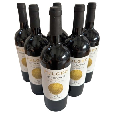 FULGEO Negroamaro IGP 2020 (6 Flaschen) - Cantina San Donaci
