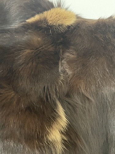 Vintage Womans Fur Coat Jacket Dark Brown Real Authentic Fur - Picture 12 of 15