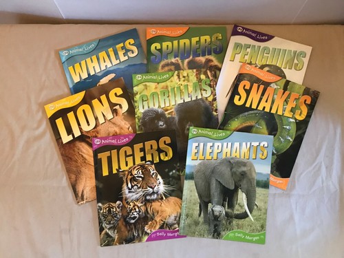 Science Books 3rd Grade - 6th Grade Science Animal Life Cycles Books QEB Set 8 | eBay Science Books 3rd Grade - 6th Grade Science Animal Life Cycles Books QEB Set 8 | eBay
