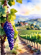 Tile Mural Tuscan Vineyard Grapes Kitchen Wall Art Backsplash Marble Ceramic