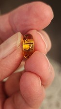 Trollbeads Amber Carved Runes Bead NEW