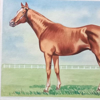 Cheval de Course Pur-sang Gouache Originale Circa 1960 Cadre Moderne - Photo 1/4