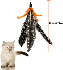 Cat Feather Toys Refill, 6 Pieces Cat Wand Attachments Da Bird Feathers Toy f...