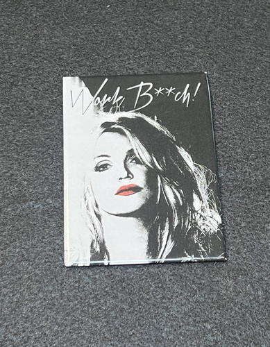 Britney Spears 3.5" x 2.5" fridge magnet Work Bitch retro collectable - Afbeelding 1 van 5
