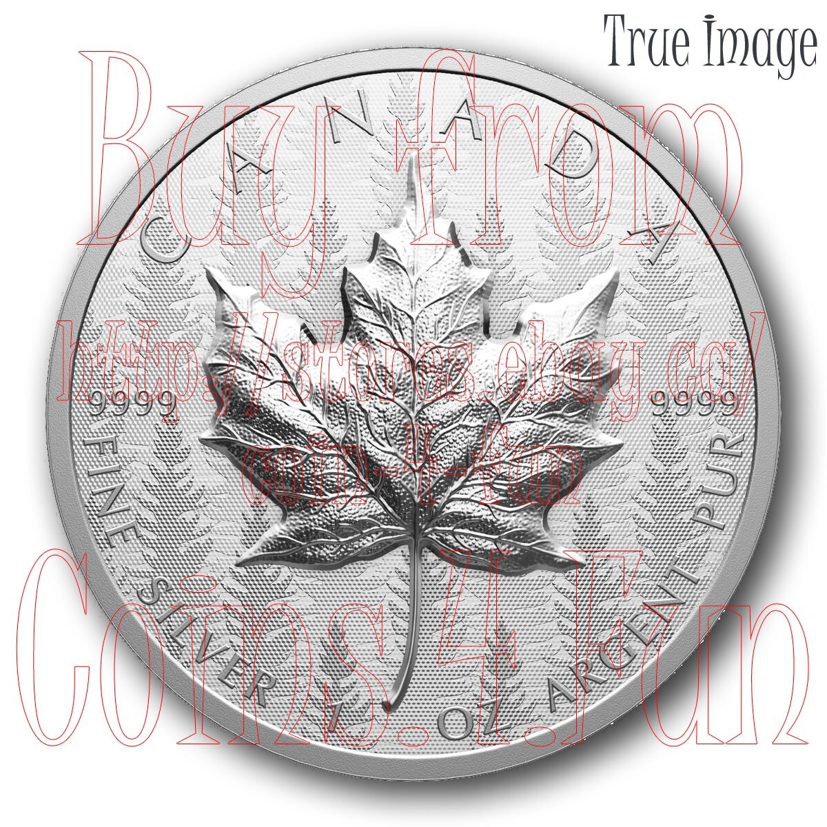 2024 Maple Leaf Canada Ultra-High Relief UHR SML $20 1 OZ Pure