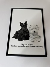 New Framed Print Scottie Westie Dogs Black & White Scotch Whisky Magazine Advert
