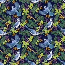 BLUE JAY BIRDS IN BRANCHES cotton print by TIMELESS TREASURES BTY