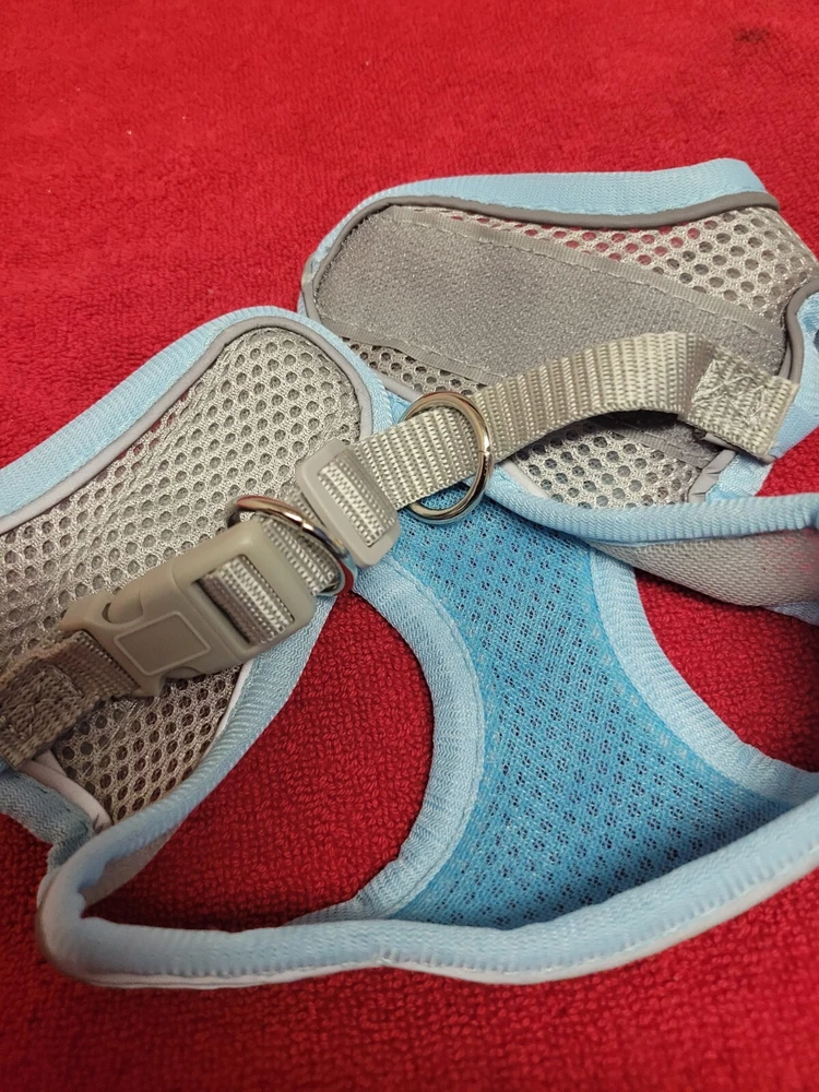 dog harness Small Blue And Gray Trim
