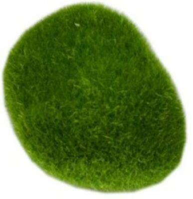 knstliche Aquarium Pflanze Mooskugel grn 6x5cm Deko Pflanzen  Wasserpflanzen