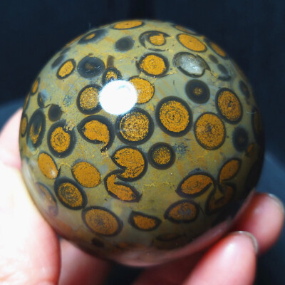 TOP 232.7G 54mm Natural Polished Leopard print Money Agate Stone Ball  BA2817