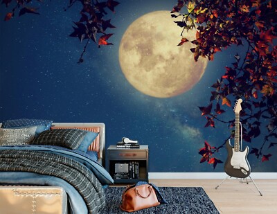 3D Vollmond C6380 Tapete Wandbild Fototapete Abnehmbarer Amy