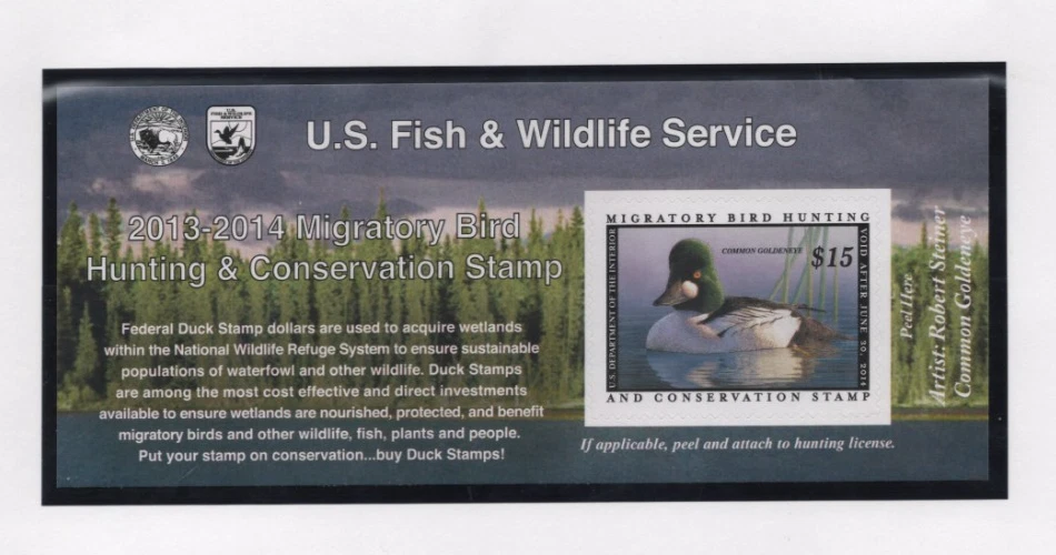 EE. UU. 2010-2016 SEIS ESTAMPILLAS FEDERALES DE CAZA DE PATOS COMO NUEVAS NUNCA ARTICULADAS $15 A $25 F.V. Foto 3 de 4